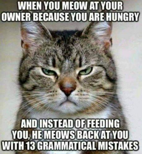 19:36:03 GMT-0600 (CST)