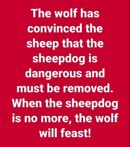 The wolf has convinced the sheep - danger meme