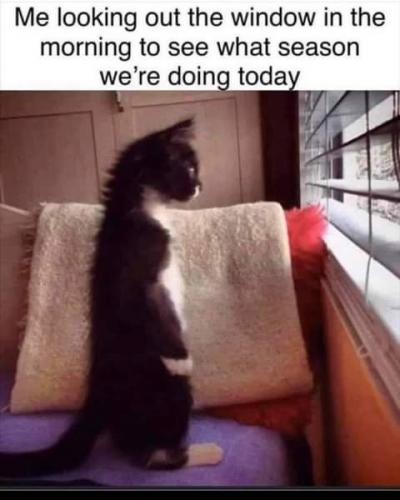 17:33:32 GMT-0800 (PST)