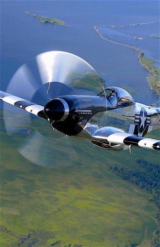 167151123_3932908580088056_7108356206671303741_n