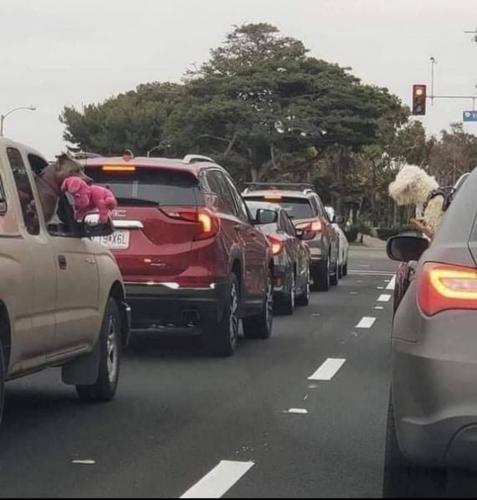 11:44:45 GMT-0600 (CST)