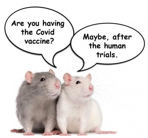 17:06:02 GMT-0500 (EST).image