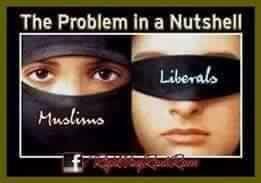 39979427_10205064047516812_6804114557854810112_n