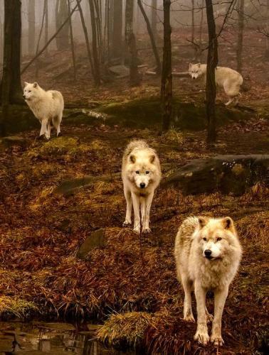 14732316_10205605998069453_4258992331459285990_n