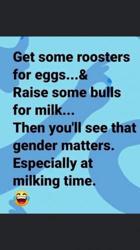 02:56:17 GMT-0600 (CST)