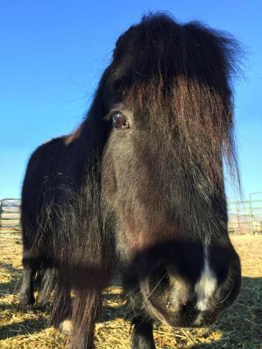 07:39:25 GMT-0800 (PST).image