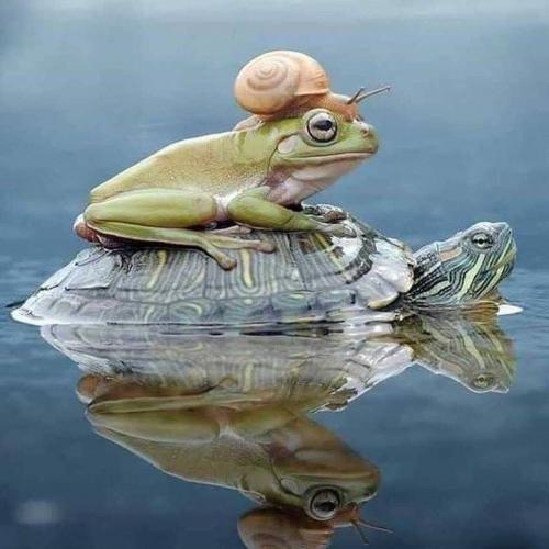 160117574_1819351198231084_6033576027955140672_n