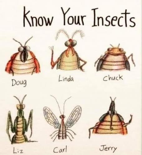 18:33:11 GMT-0700 (PDT)