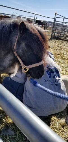 07:23:44 GMT-0800 (PST).image