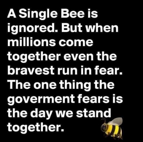 09:33:19 GMT-0500 (EST)