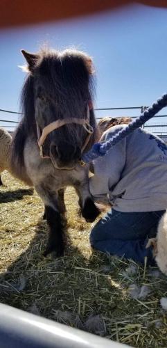 07:23:44 GMT-0800 (PST).image