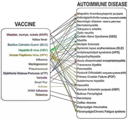 vaccine888