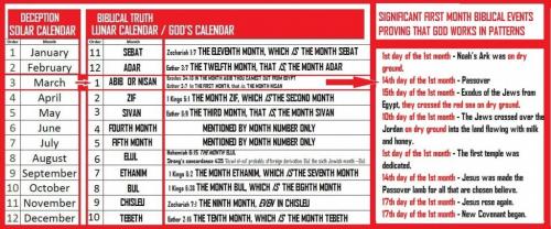 165069969_3774146476035947_2997808639427323861_o