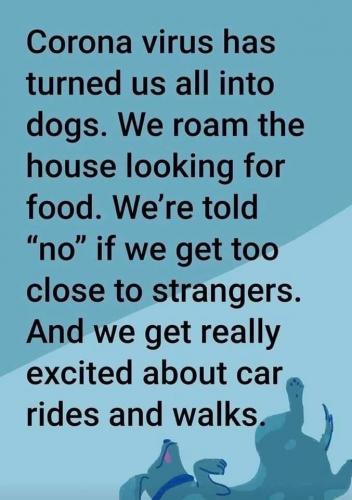 08:56:59 GMT-0600 (MDT).image