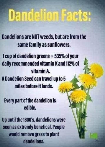 13:43:51 GMT-0700 (MST)