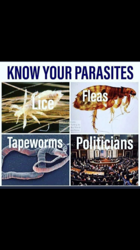 12:20:59 GMT-0500 (CDT).*