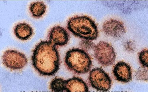 06:33:13 GMT-0500 (CDT)