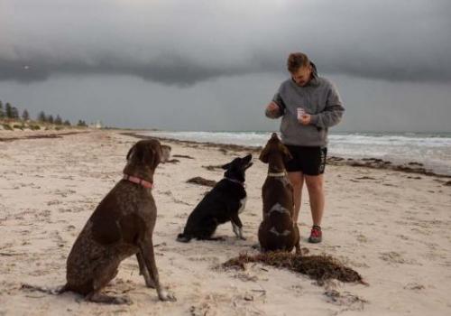 photo_15@25-08-2020_16-31-19_thumb