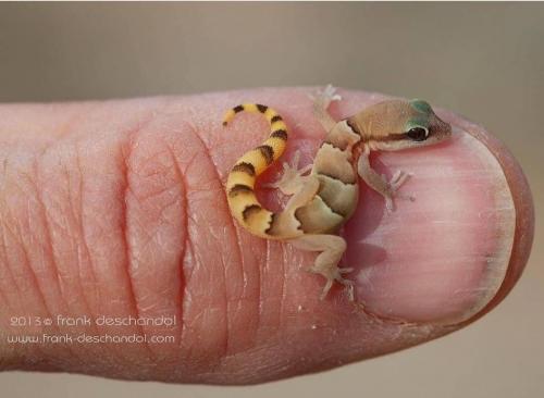 15:58:23 GMT-0800 (PST)