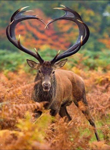 132195328_223945235865585_4507193488286343329_n