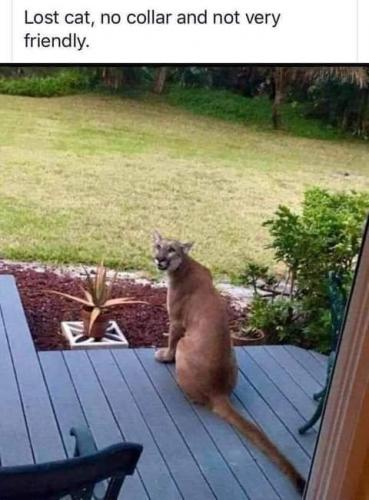 10:07:40 GMT-0800 (PST)