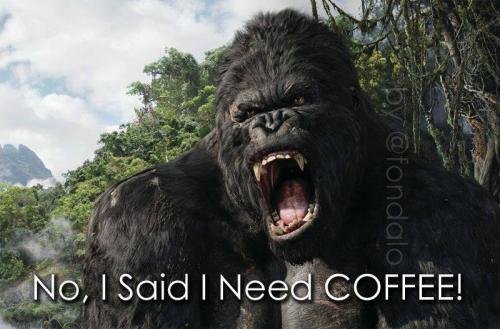 26219641_1553476371404862_4356044260170703055_n