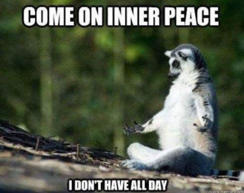 12:20:11 GMT-0500 (EST)