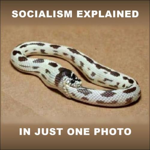 zsocialism74