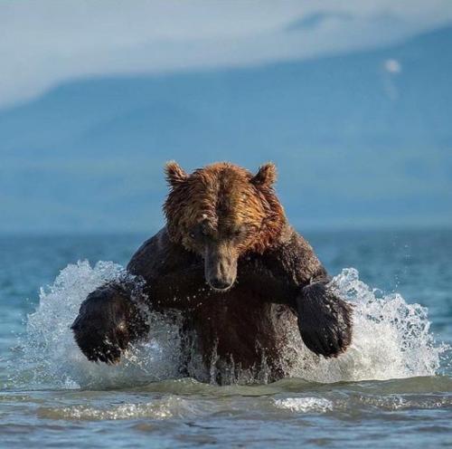 tumblr_cd60a22d4c86c8796bbb2536327a7183_b2d9b228_540