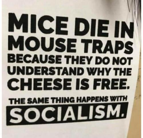 08:31:38 GMT-0500 (EST).image