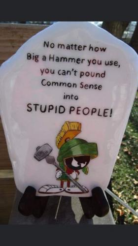 stupidpeople