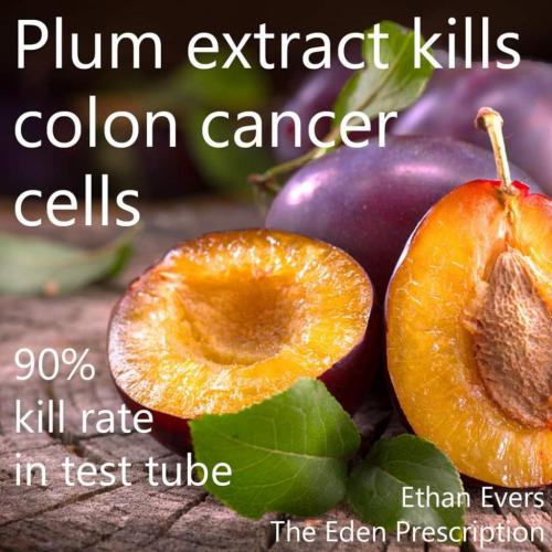 13:44:48 GMT-0600 (MDT)