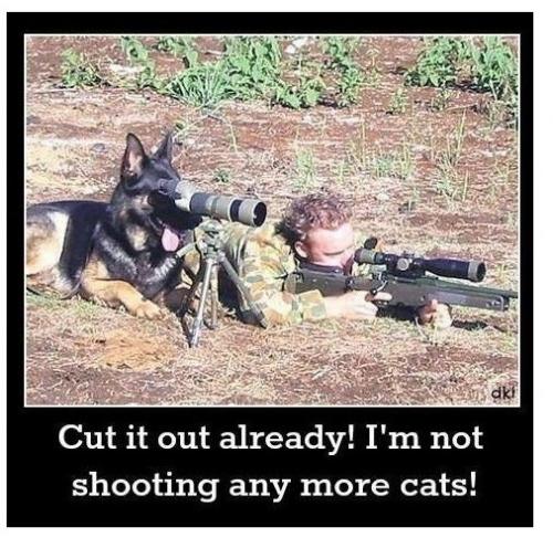 06:03:23 GMT-0500 (CDT)