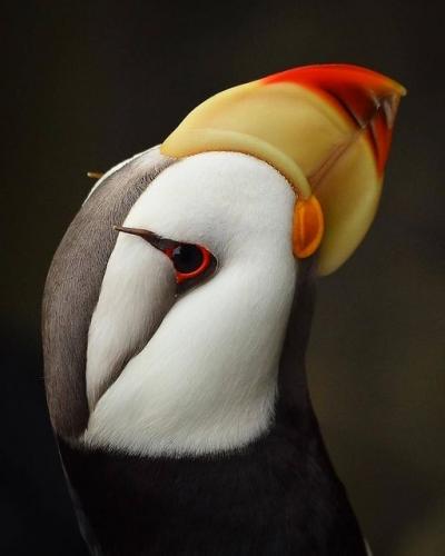 158418669_1816153228550881_9056442950112305892_o