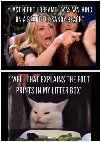 01:28:01 GMT-0800 (PST).image