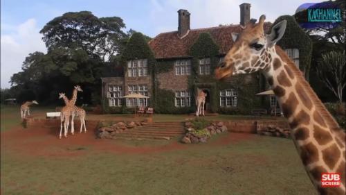 15:09:55 GMT-0700 (PDT)