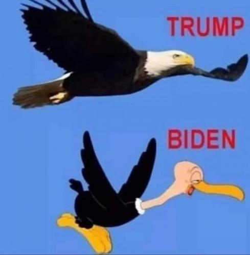 11:14:32 GMT-0700 (MST)