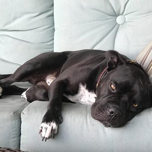 23:38:12 GMT+0100 (WAT)