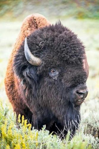 62494203193f96b3e545c16b518327f4