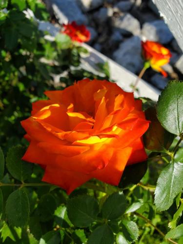 19:16:44 GMT-0800 (PST)