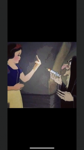 06:30:43 GMT+1300 (NZDT).image