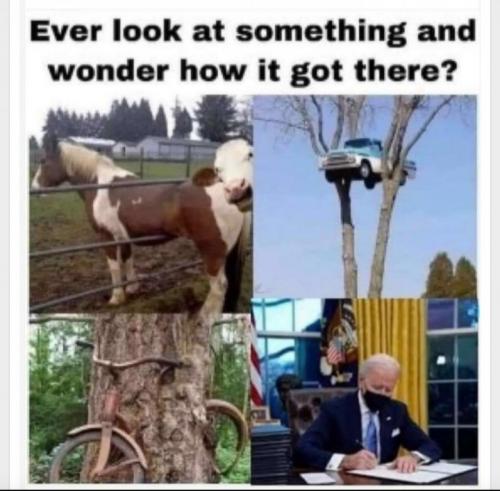 20:24:34 GMT-0800 (PST)