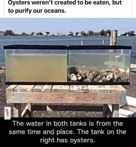 17:17:56 GMT-0600 (CST)