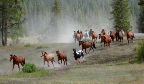 166823326_1543515892514422_3841189246184290810_n