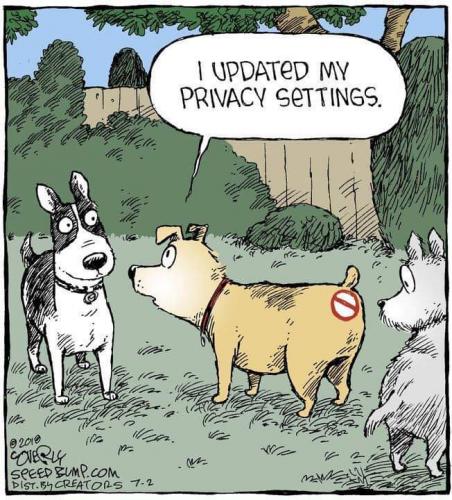 08:11:19 GMT-0500 (CDT)