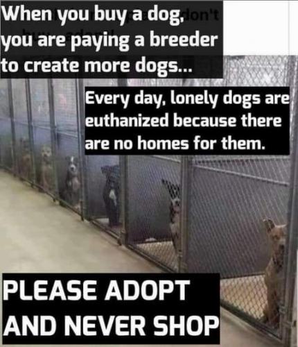 20:28:04 GMT-0700 (PDT)