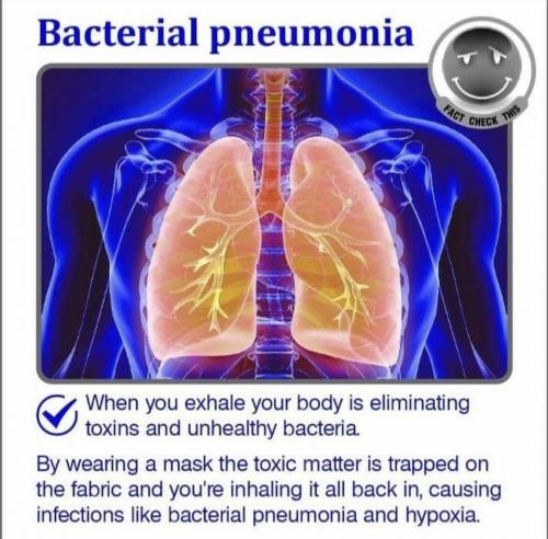 94735BC9-32EF-4DB1-9701-3AD4B9F3473B-7770-0000049D46DD0220