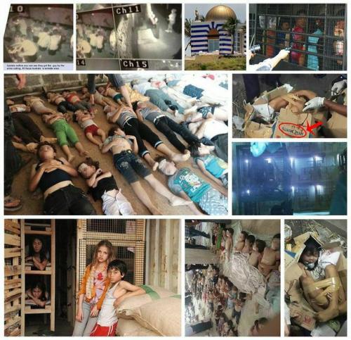 945515D3-FB74-4E45-ACA6-07DE2F400E29