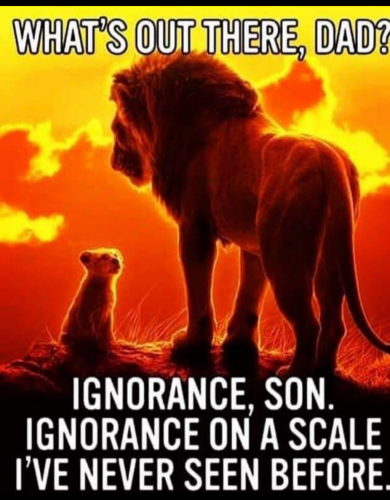 09:04:46 GMT-0400 (EDT)