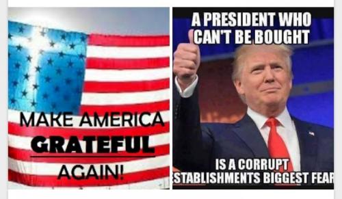 Tumblr_l_533887039895898